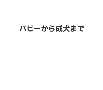 パピーから成犬まで