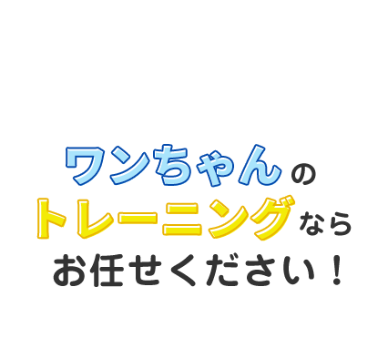 ワンちゃんのトレーニングならお任せください！